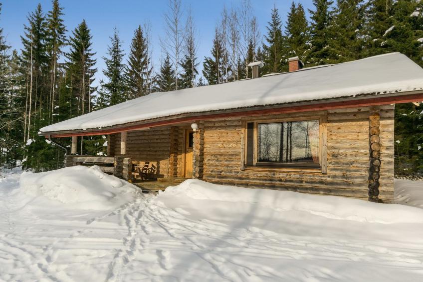 Hevonkuusi - foto 20