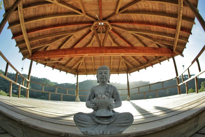 "The Natural Elements" - foto 39