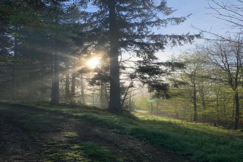Ferienwohnung an der Talsperre Rauschenbach - foto 30