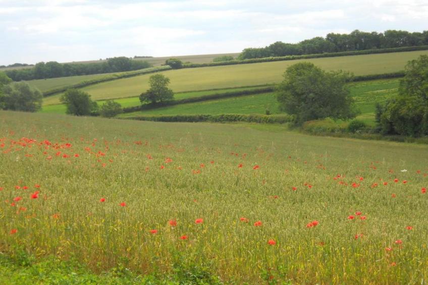 Little Rissington - Barn Five - foto 40