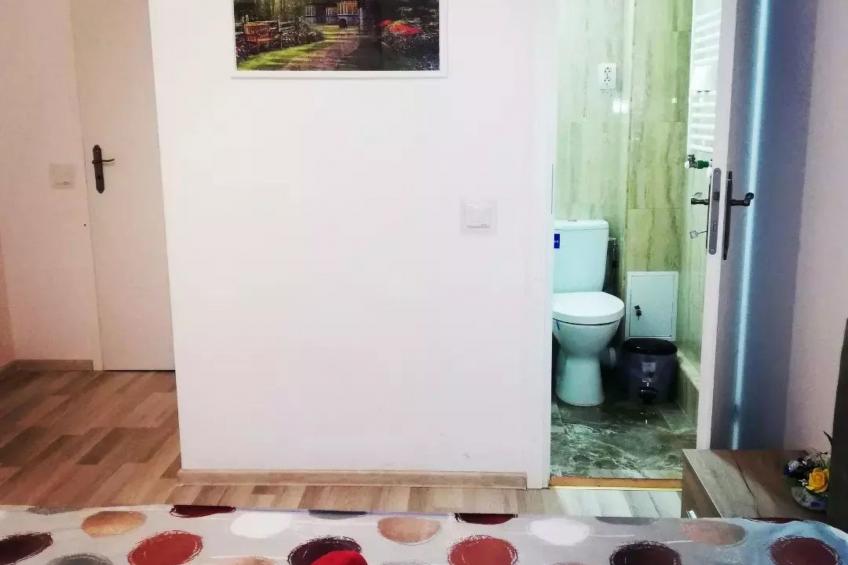 Vila Roberta Breaza Brasov - foto 5