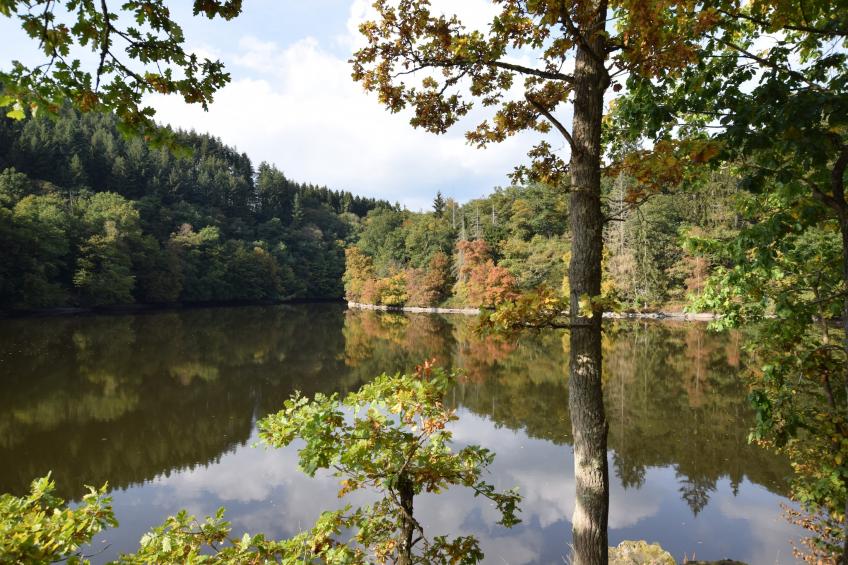 Le Domaine des Arts - foto 20