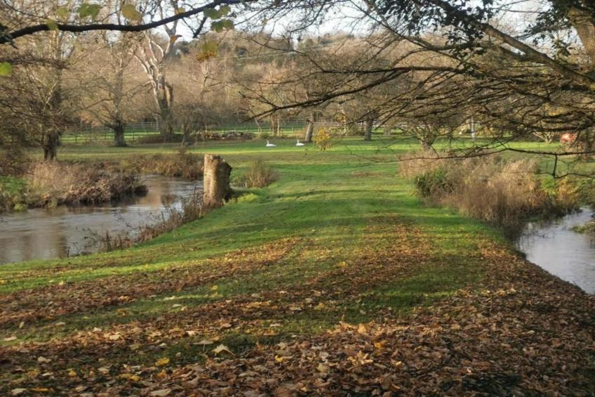 South Downs Lodge - foto 30