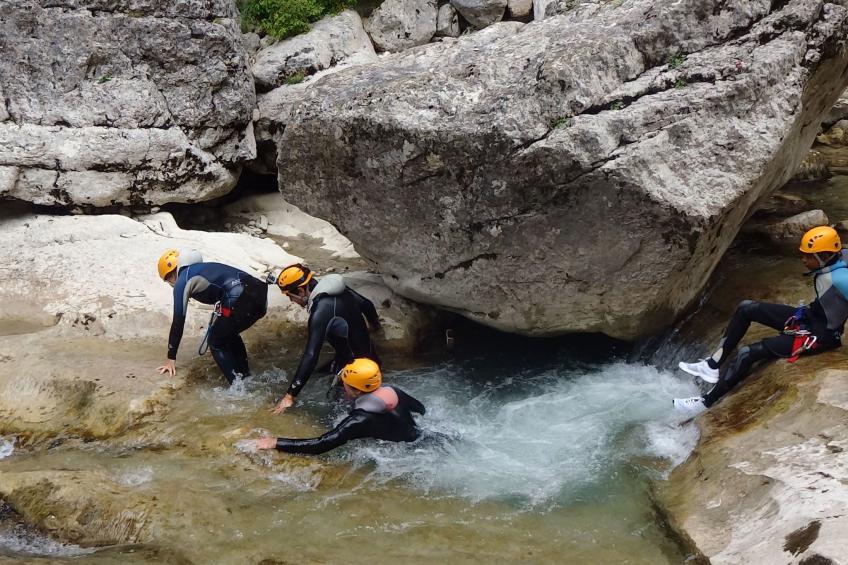 pin parasol - foto 33