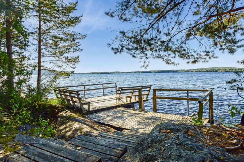 Linnunlaulu - foto 2