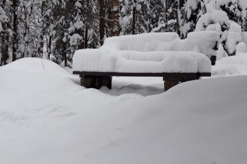 Jägerhaus - foto 43