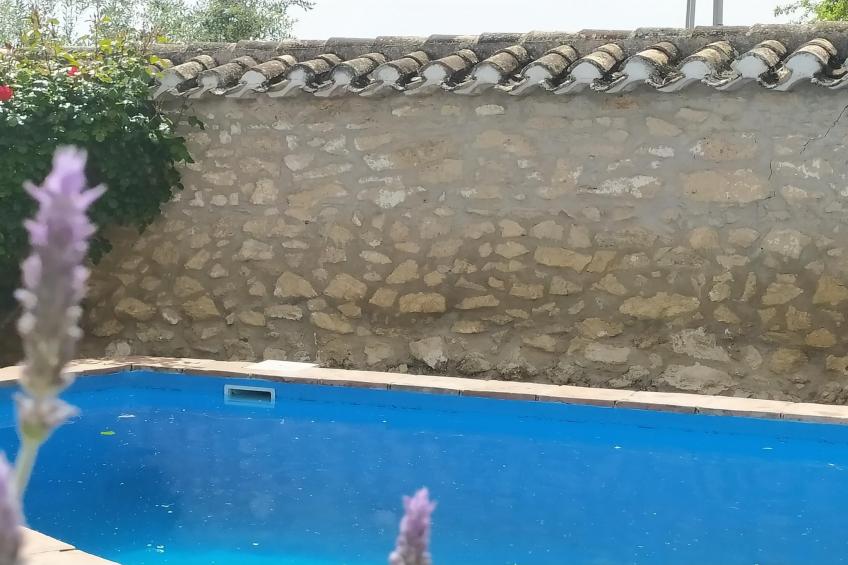 El Molino - foto 20