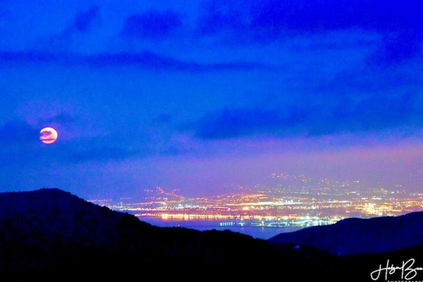 Villa Axarquia - foto 74