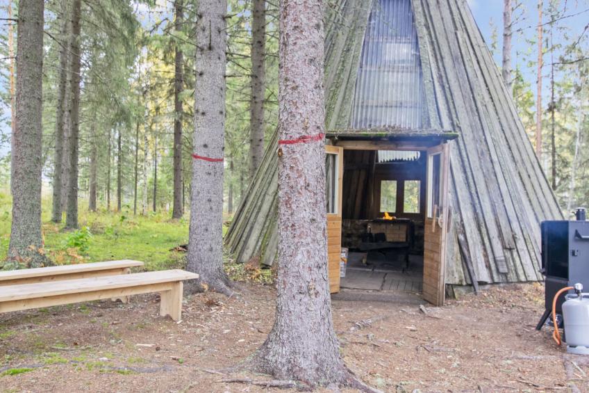 Niemenkärki, vaikon loma ja lohi - foto 9