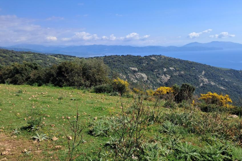 "Casa zinu" mit Blick aufs Meer - foto 13