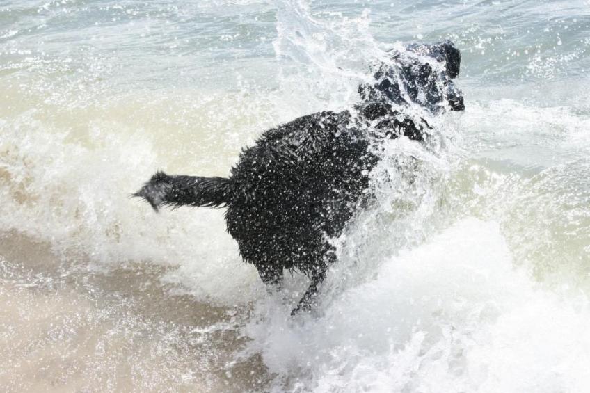 Niedliches Schwedenhaus. - foto 34