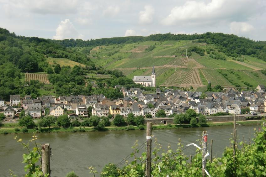 Briedel - foto 32