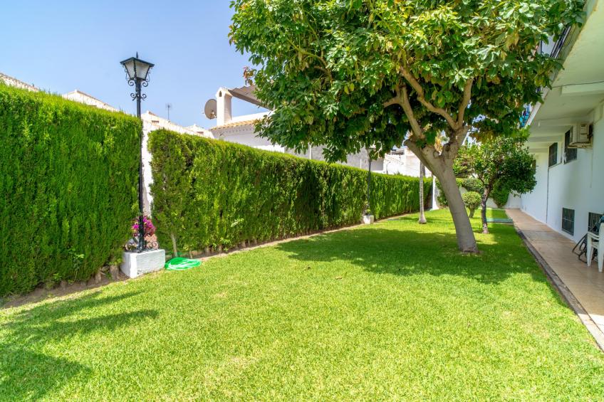 Perdigon 325 Paradise by Casasol - foto 25