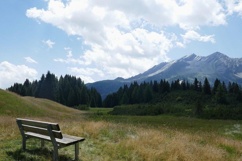 Nido delle Alpi - foto 38