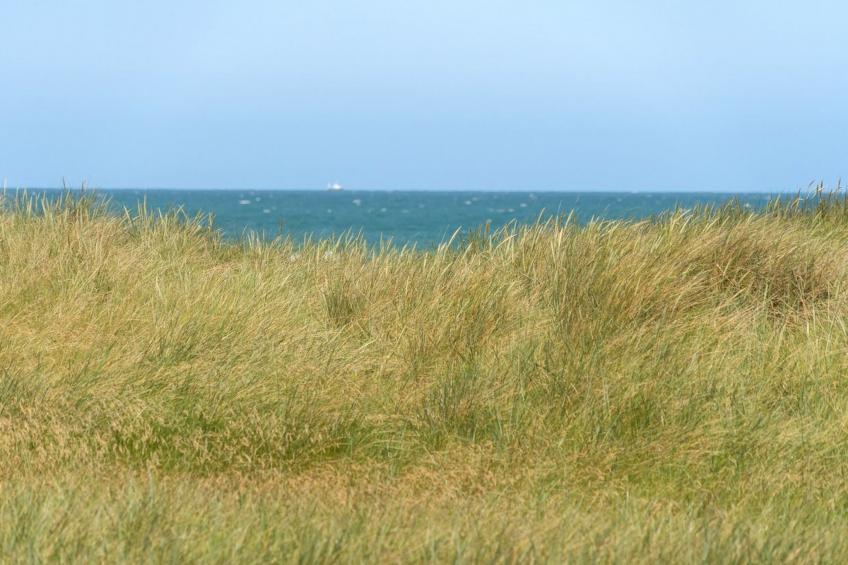 "Holger" - 50m from the sea in NW Jutland - foto 16
