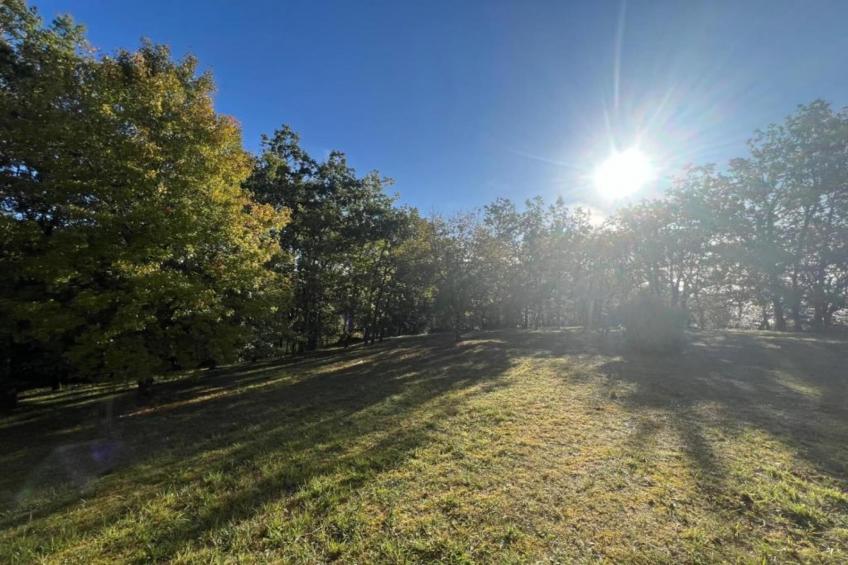 Maison de vacances - MONTAIGU-DE-QUERCY - foto 27