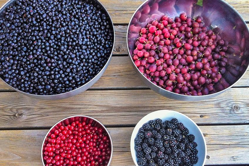 "Évika 1" mit Sauna - foto 19