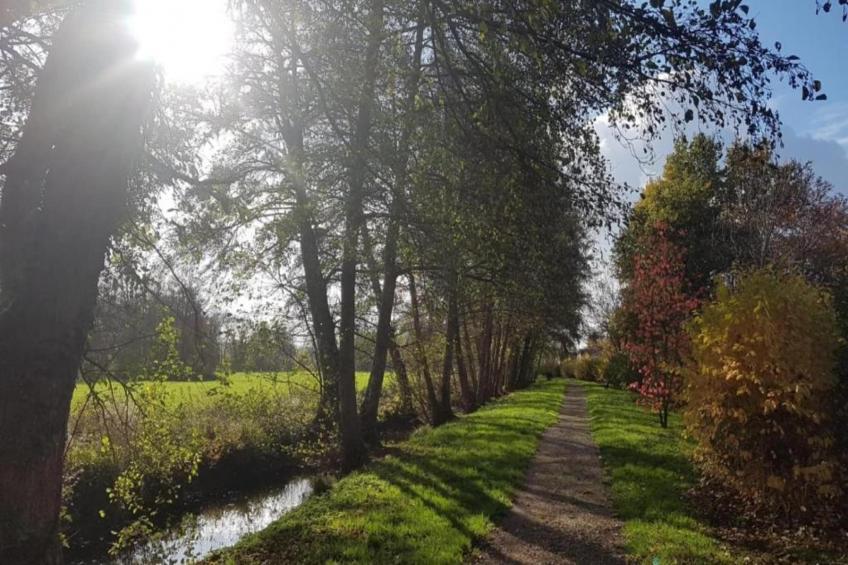 Maison de vacances - DIGES - foto 30