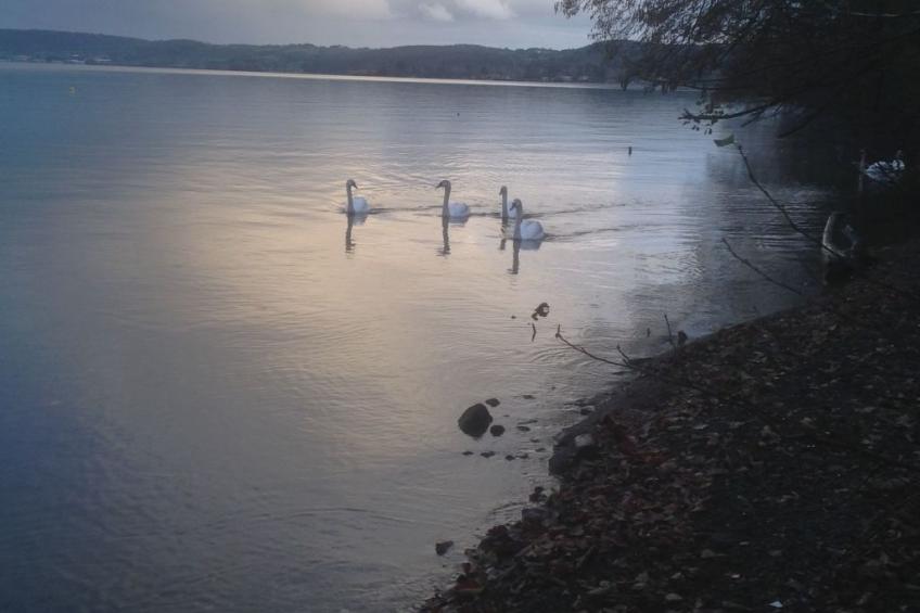 mit Wasserblick - foto 17