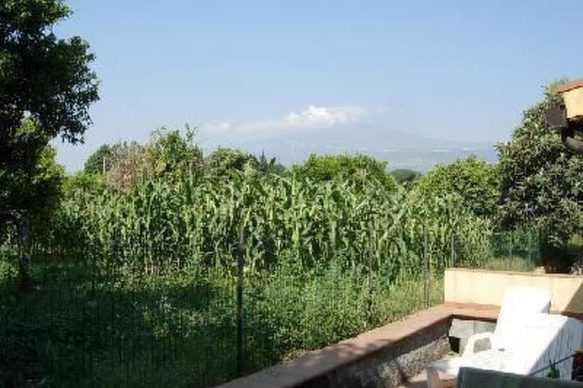 Wohnung mit Garten, Terrasse und Grill - foto 16