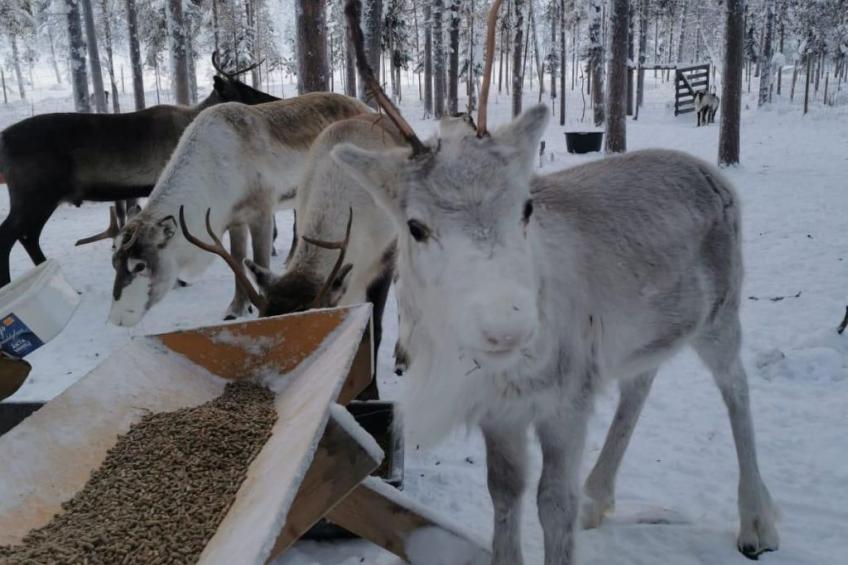 Villa Edda - foto 25