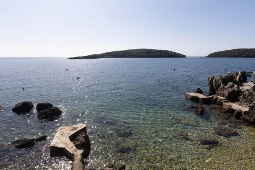 House Rašica - One Bedroom Apartment with Terrace and Sea view (1) - foto 15