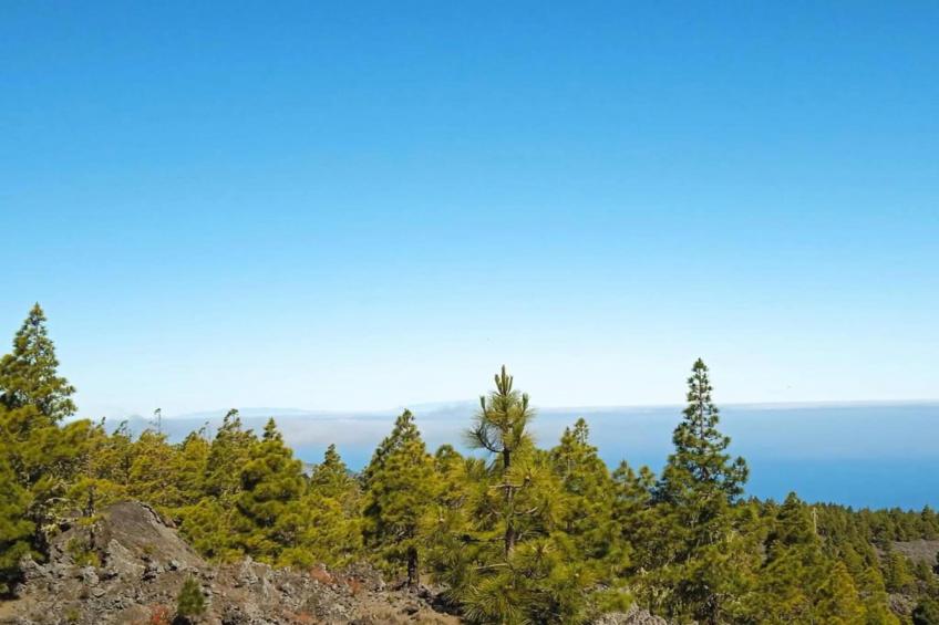 La casa de Amalia - foto 20