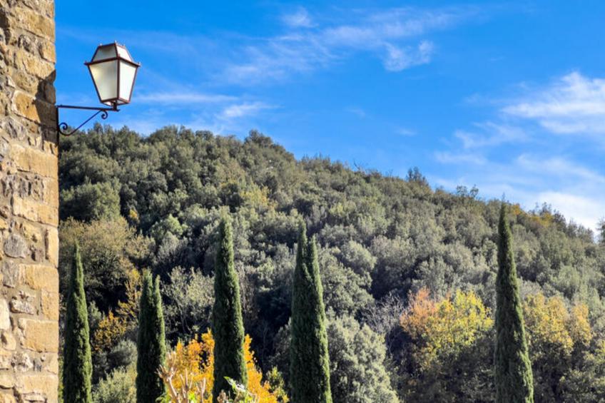 Mobil Home - Bungalow - Cottage à Sant Feliu de Pallerols - foto 44