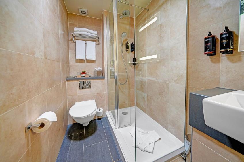 Privilege King Room - foto 33