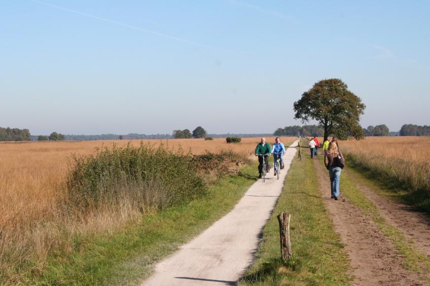 Marke van Ruinen - Markegaerde 4 - foto 19