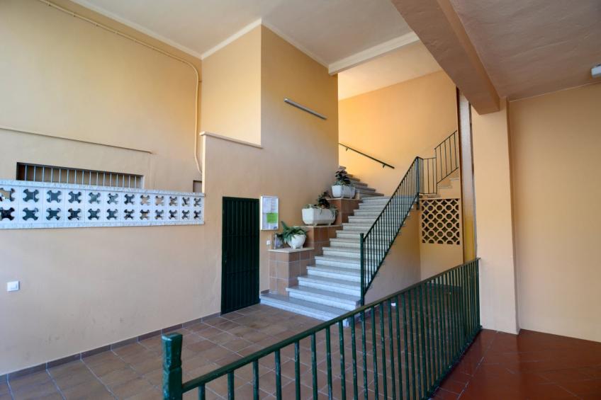 ELS PINS 3-F - foto 19