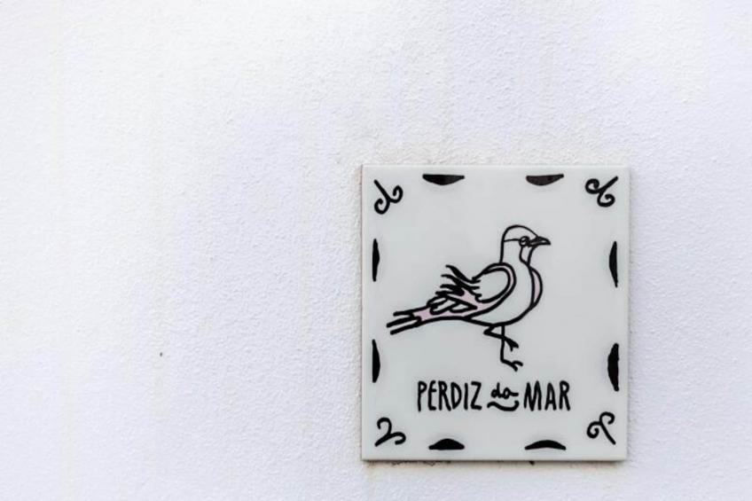 Perdiz Do Mar - Barreta - foto 26