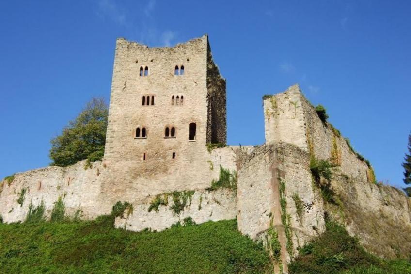 Mayer in Oberkirch - foto 41