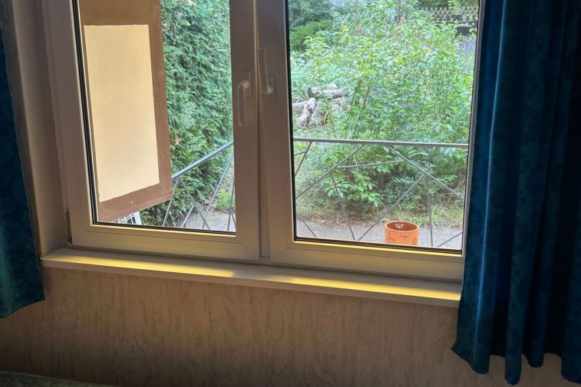 Datscha im Grünen - foto 19