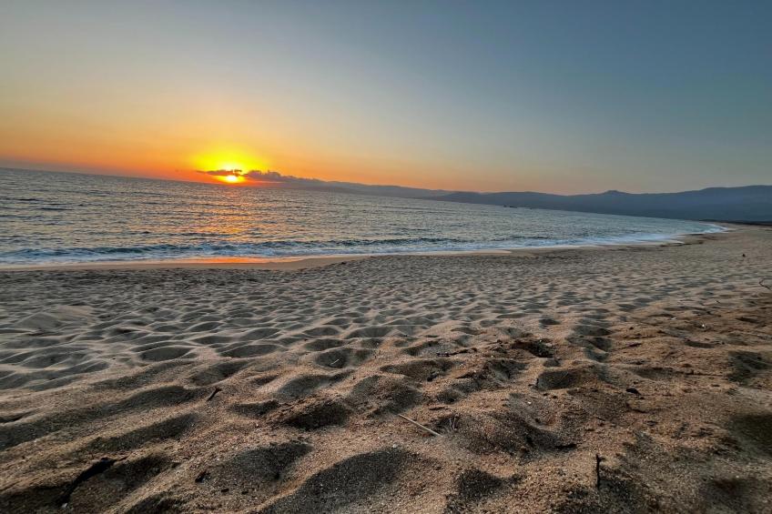 Résidence U Livanti Belvédère Campomoro - Chalet Casane - foto 13