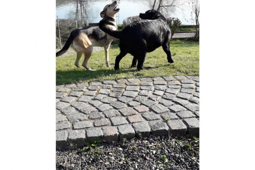 189034 - foto 32