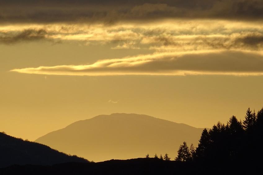 "Les Glycines" - foto 27