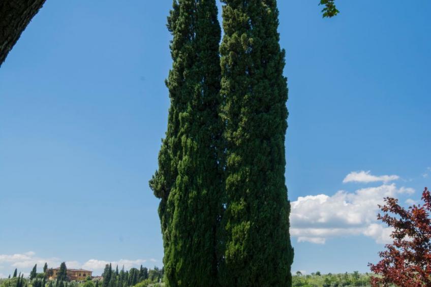 Wohnung für 2 Personen - foto 15