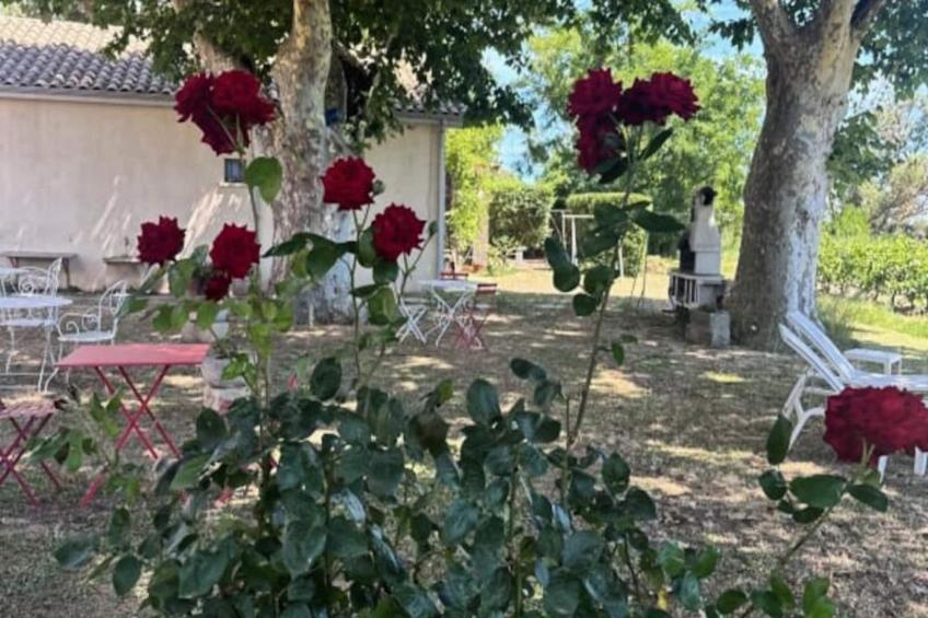 Résidence Gîte De La Cave - Charmant Gîte Provençal Avec Une Chambre - foto 31
