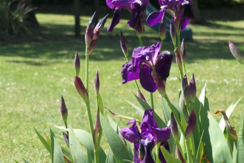 "8883" in Strandnähe - foto 37