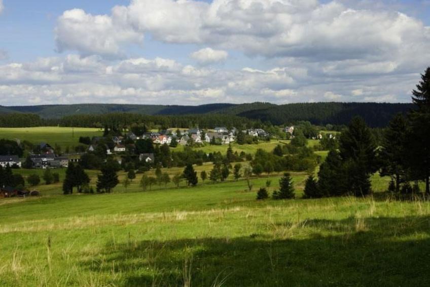 Wiesengrund - foto 11