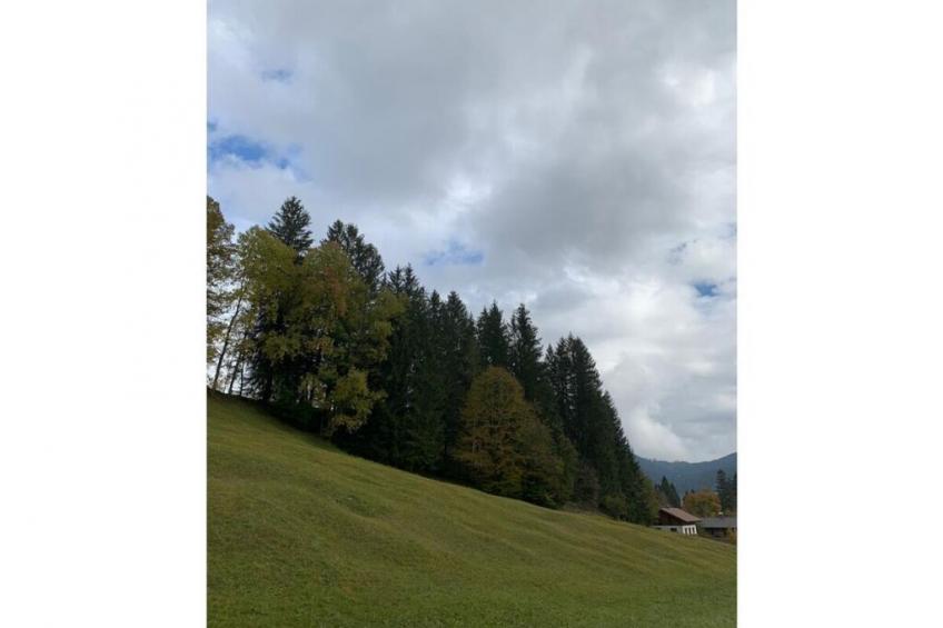 70397 - foto 6