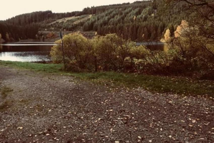 Feriendomizil Adler - foto 39