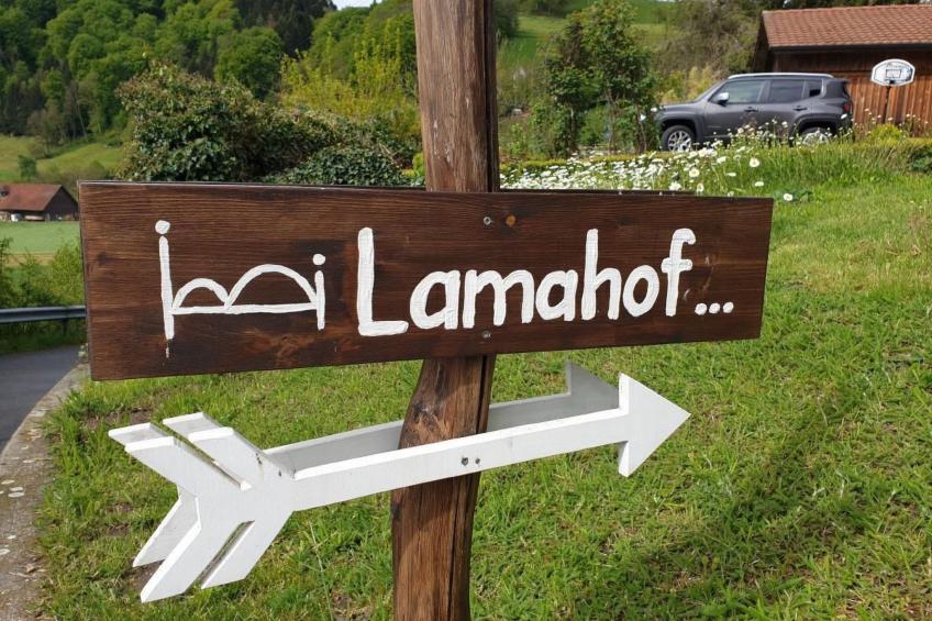 Lamahof - foto 3