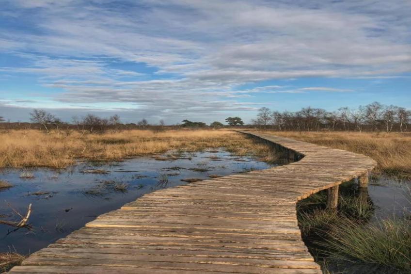 Park De Peel 4 - foto 23