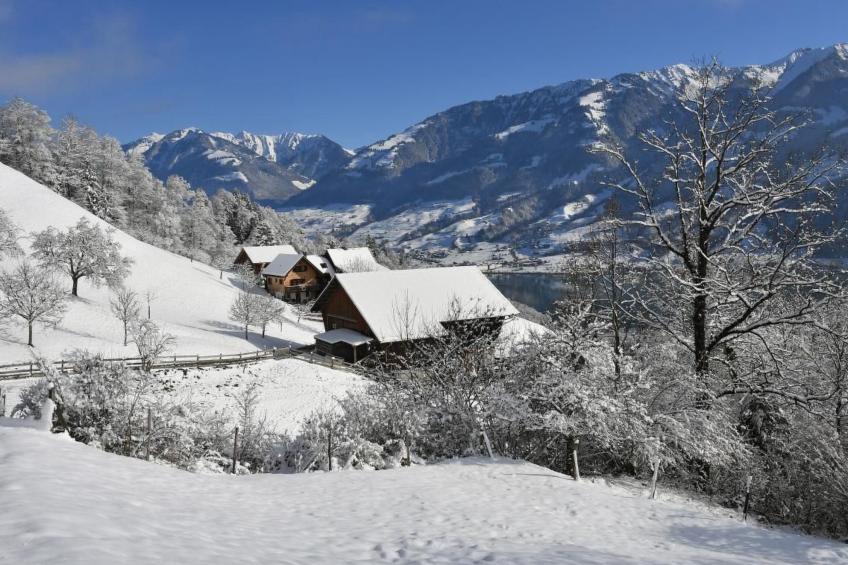 Holzhaus auf Lamahof - foto 44