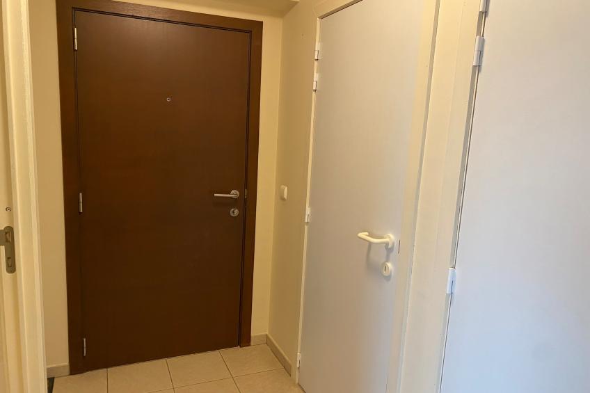 APOLLO X / 0405 - foto 9