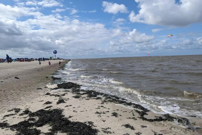 Bungalow Nordseebrise - foto 24