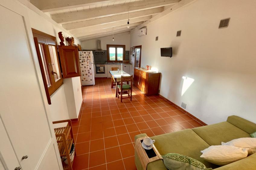 Salina - Elicriso - foto 5