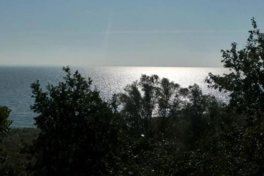 Kliffkieker - foto 6